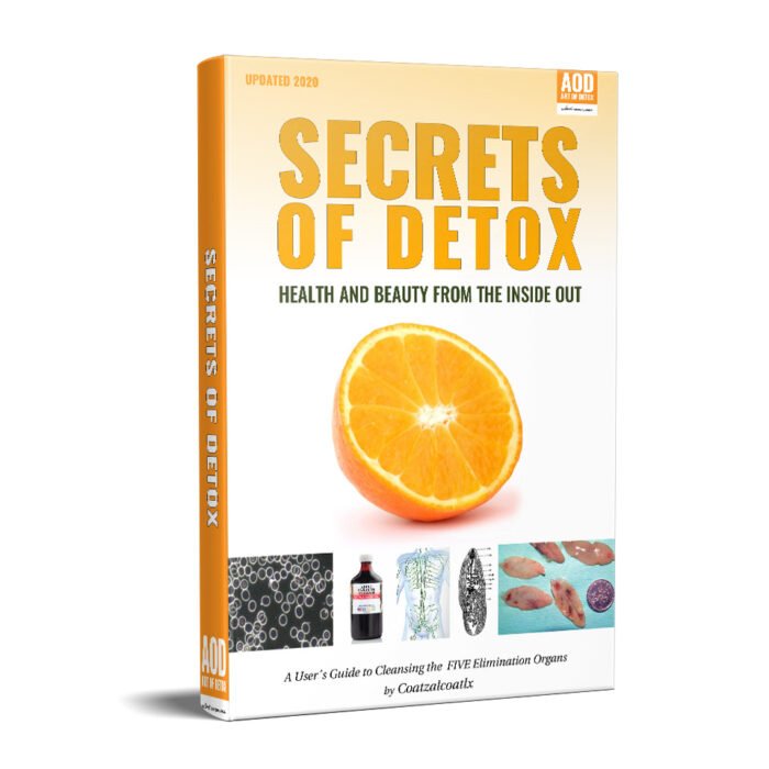 Secrets of Detox Cleanse Handbook