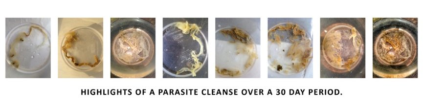 Parasites Clenase 30 days